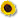 Signature Suites favicon