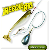 Recoil Rigs