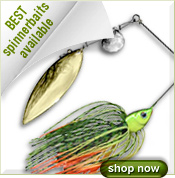 Quickstrike Spinnerbait